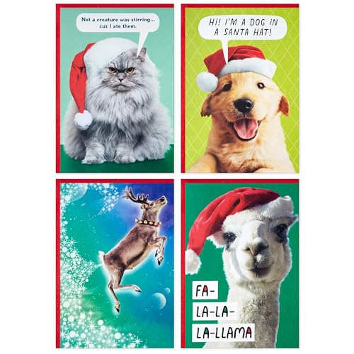 Boxed Christmas Cards with Envelopes B599886
