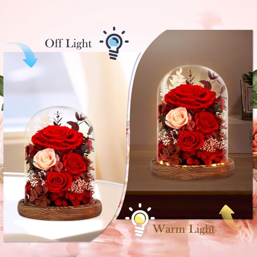 Real Red Roses in Glass Dome with LED Lights Z4579