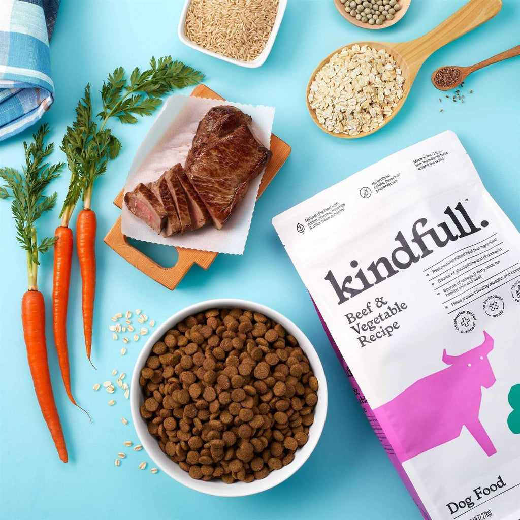 Beef and Vegetable Recipe Dry Dog Food P60057