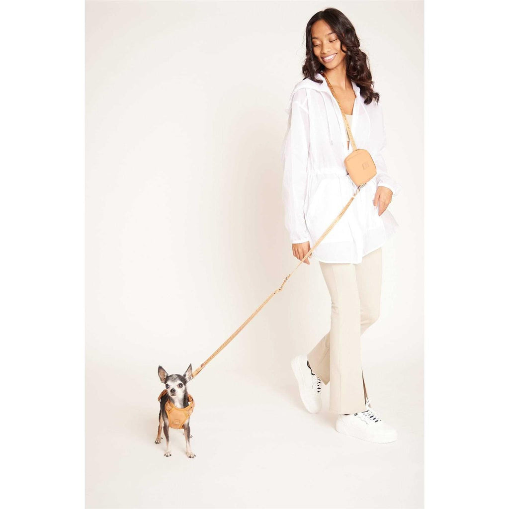 Hands Free Leash Q322