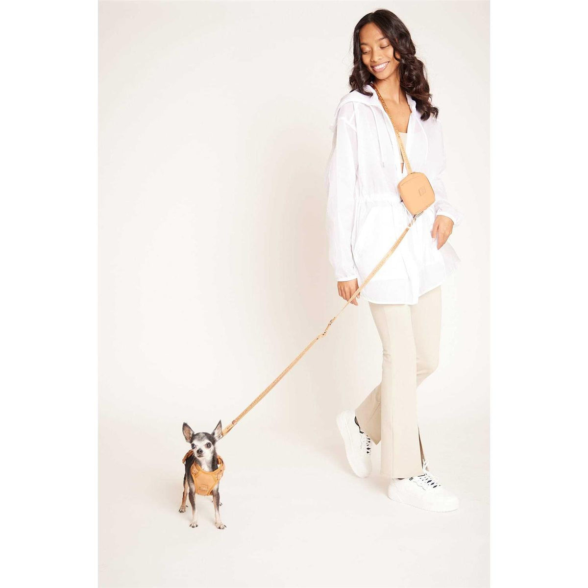 Hands Free Leash Q322