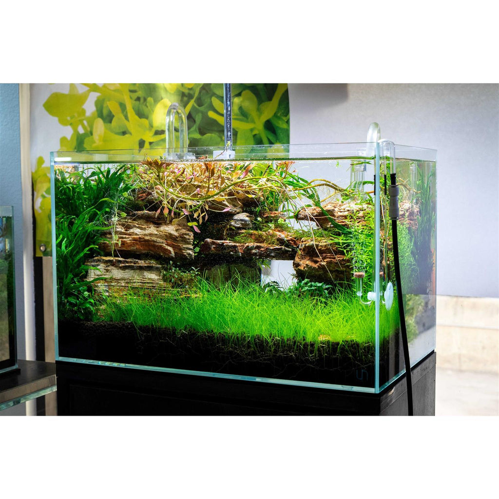Rimless Aquarium 9 gallons G618453