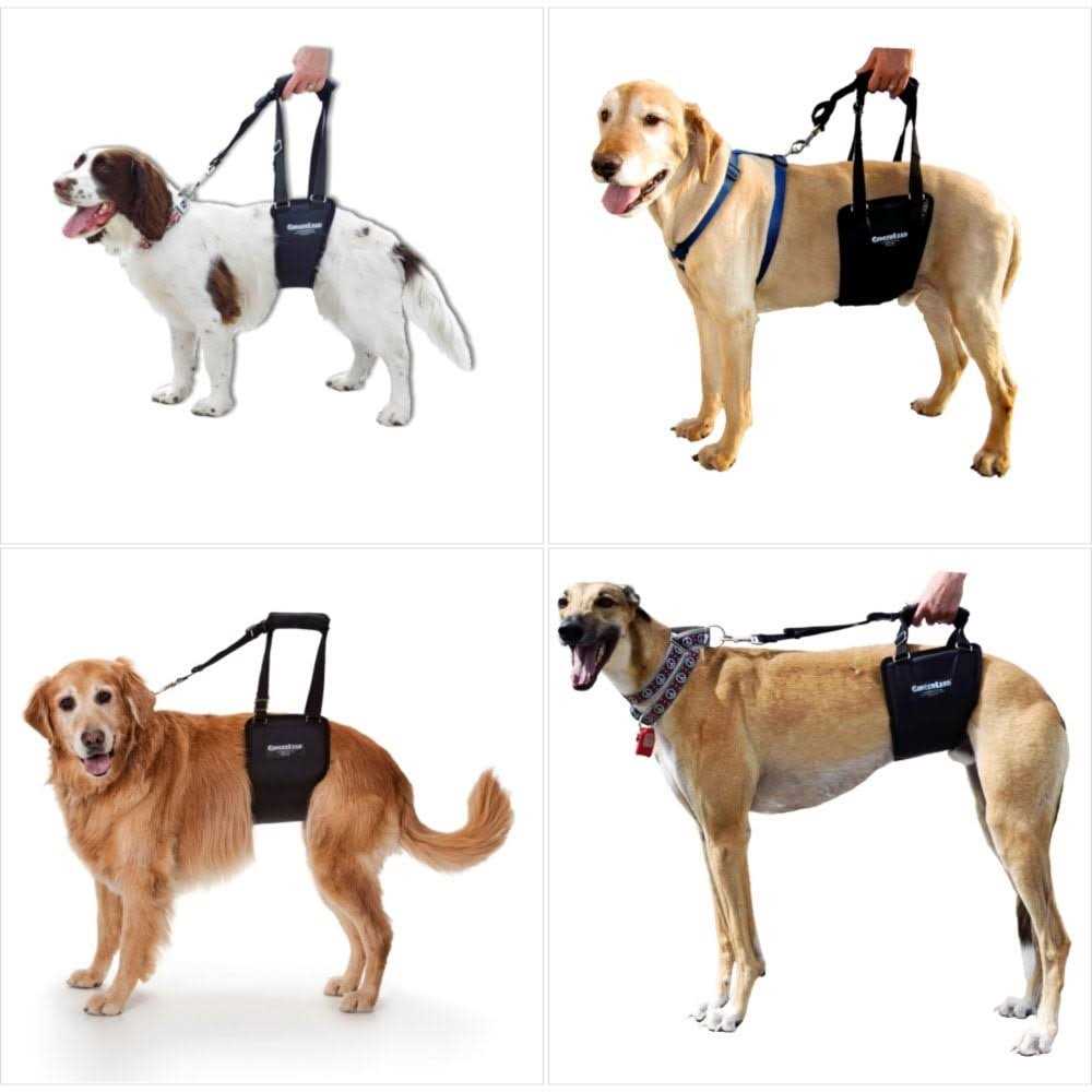 Dog Support Rehabilitation Harness D6151