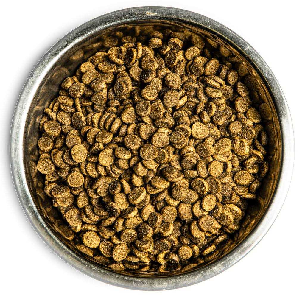 Dry Dog Food O693207