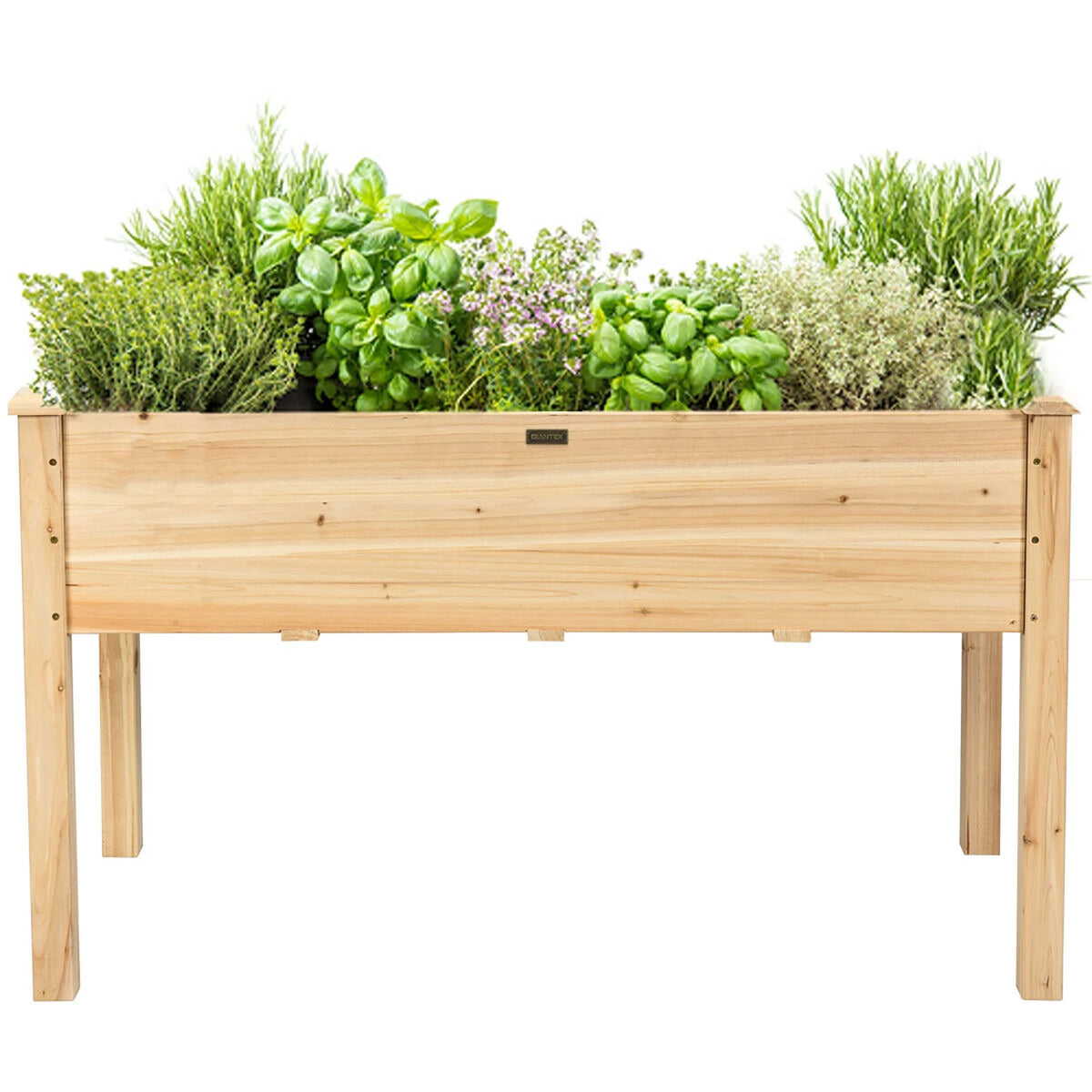 Wooden Raised Garden Bed F605023