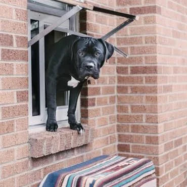 Bronze Medium Pet Door K2444