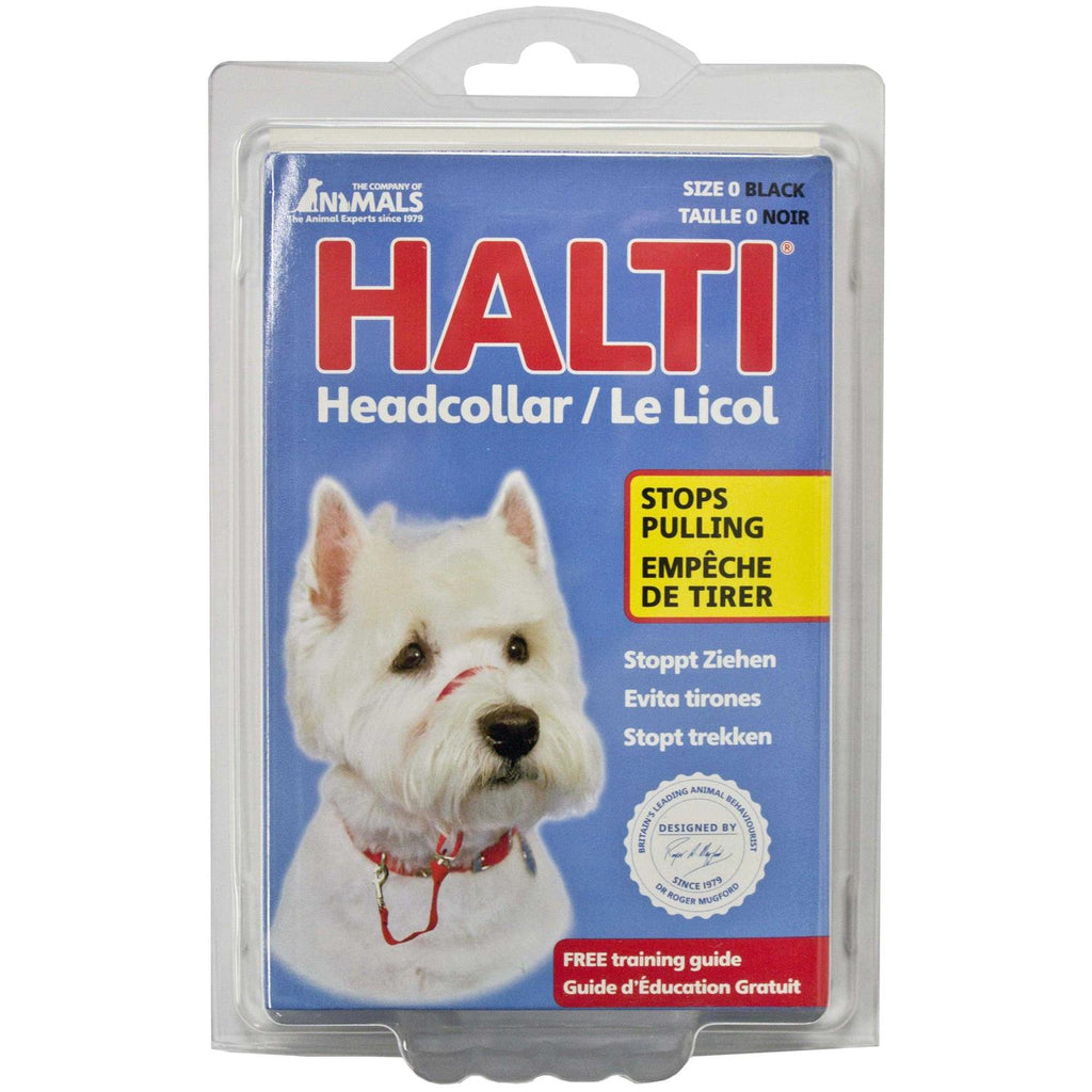 Headcollar I595041