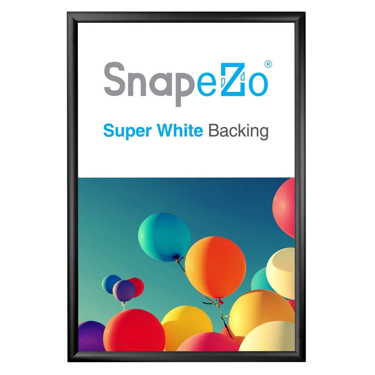 Black Snap Frame R556