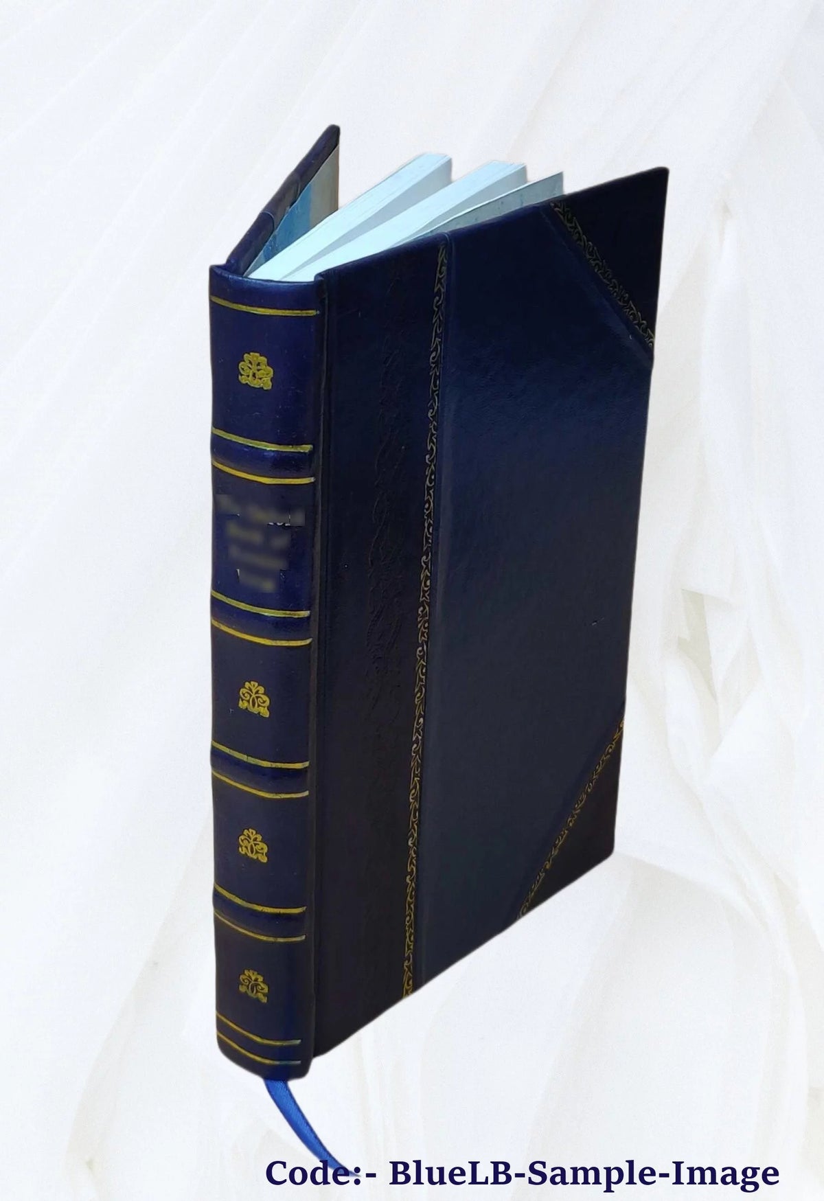 1917 Leather Bound Z165546