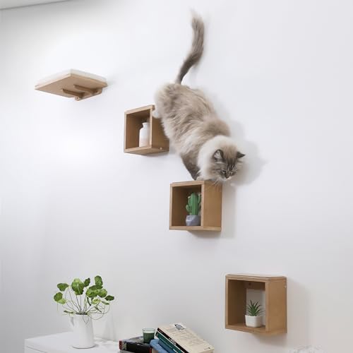 Set of 4 Cat Wall Shelves and Bed R520014