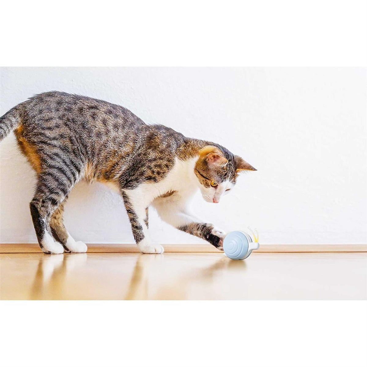 Interactive Cat Toy I2501