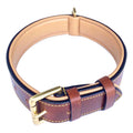 Leather Padded Dog Collar G762176