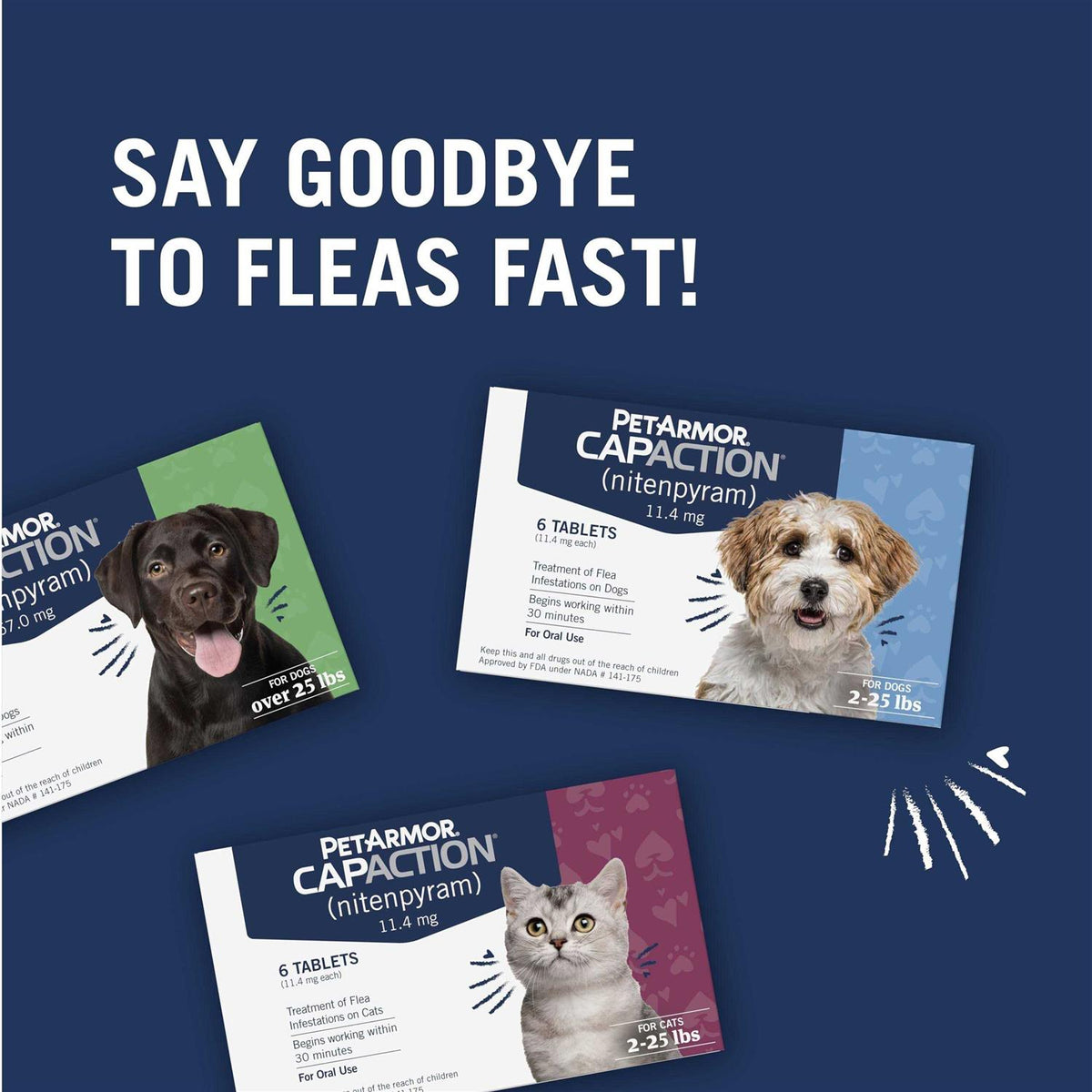 Flea & Tick Capsules H674457