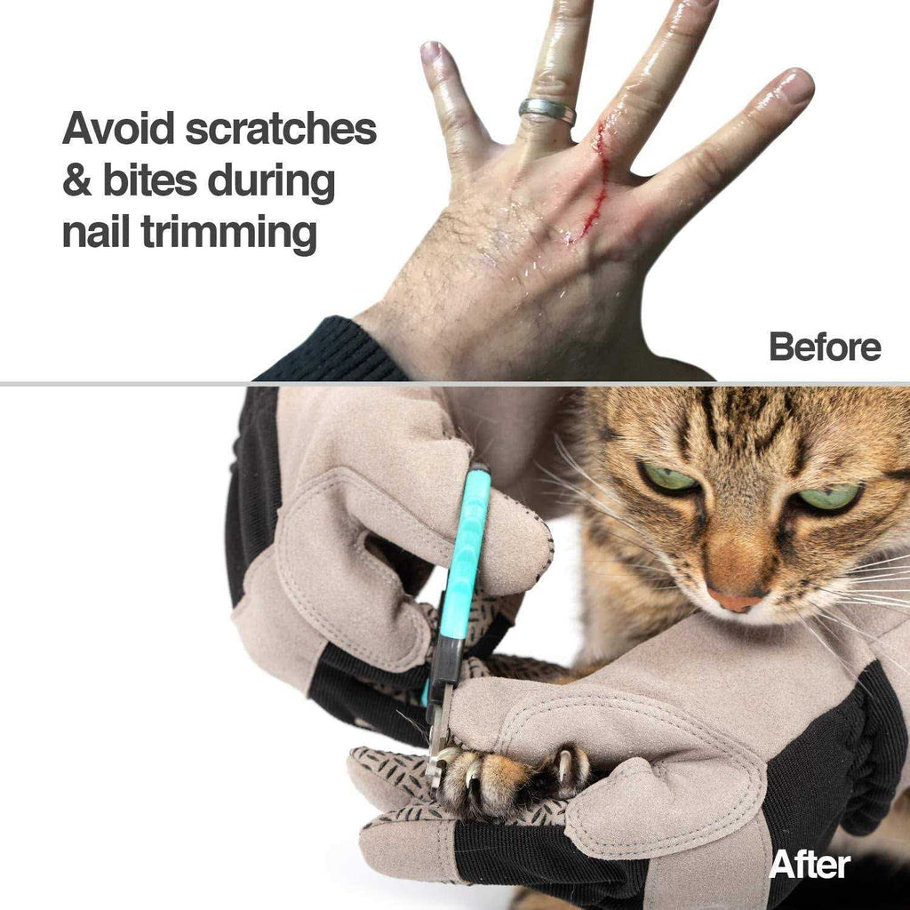 Multipurpose Pet Glove for Grooming K2207