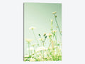 Canvas Prints Y785