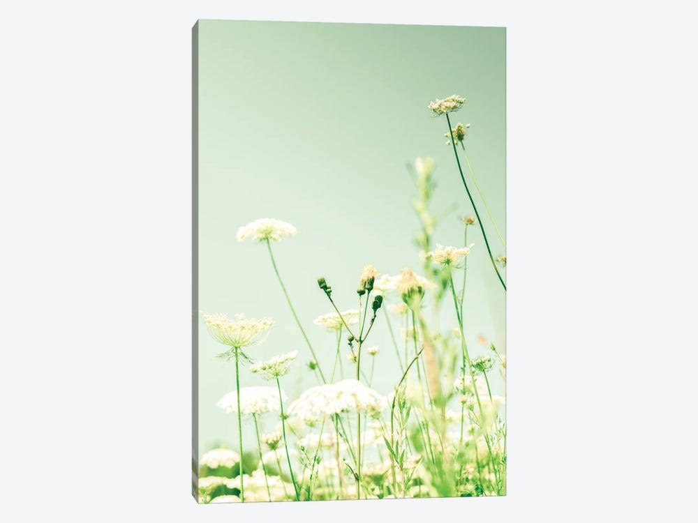 Canvas Prints Y785