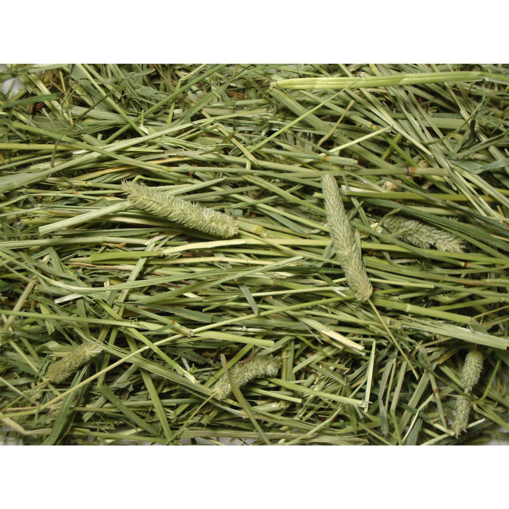 Natural Timothy Hay Q281952