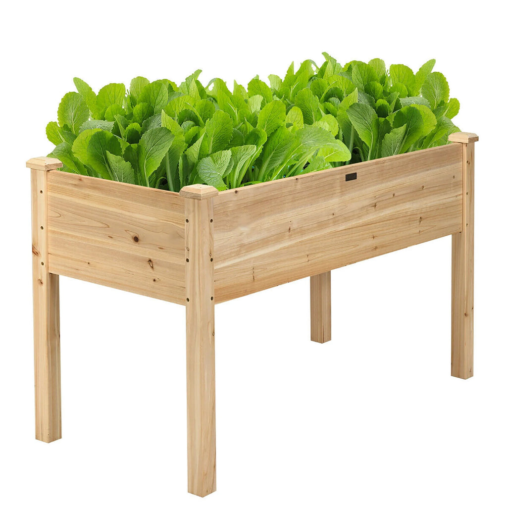 Wooden Raised Garden Bed F605023