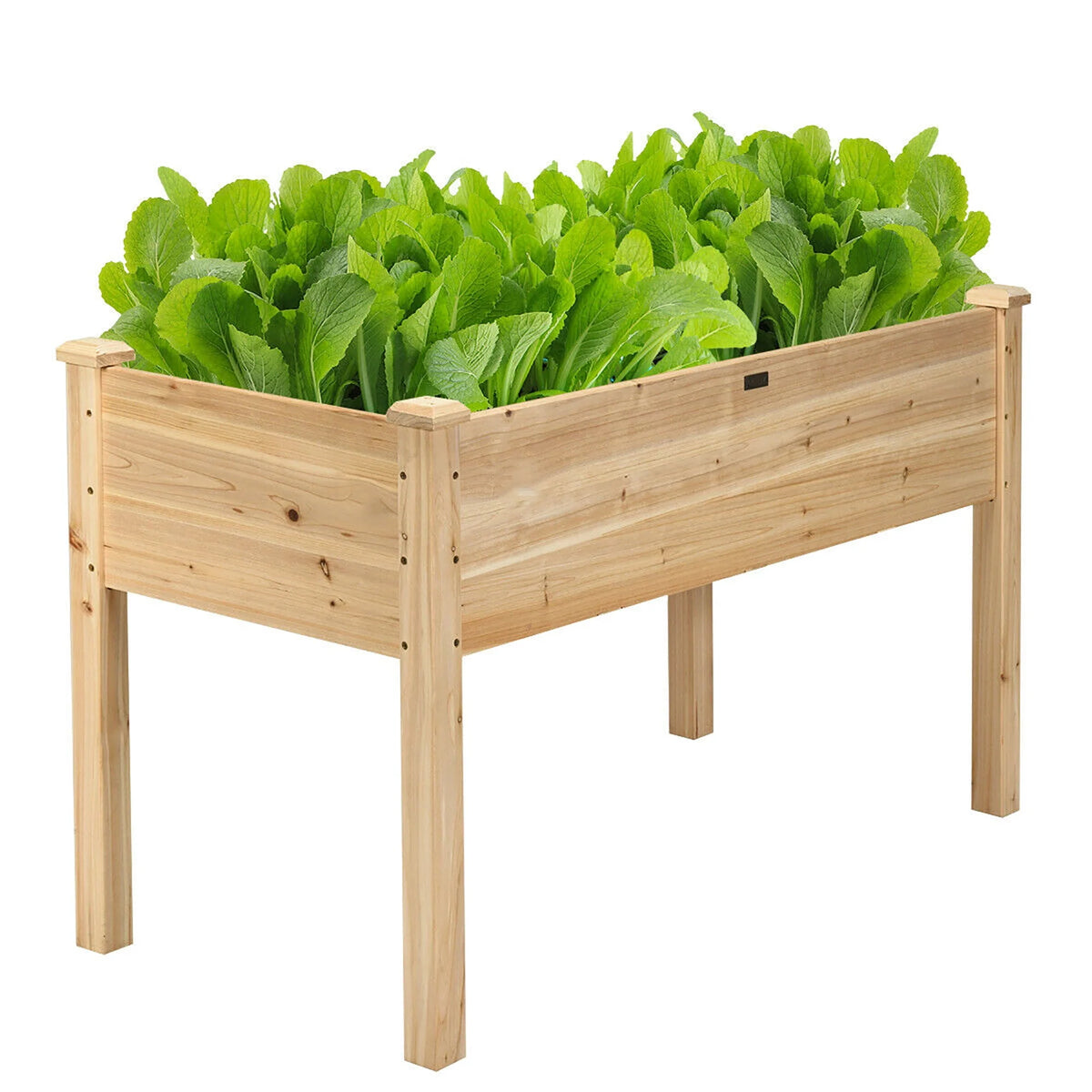 Wooden Raised Garden Bed F605023