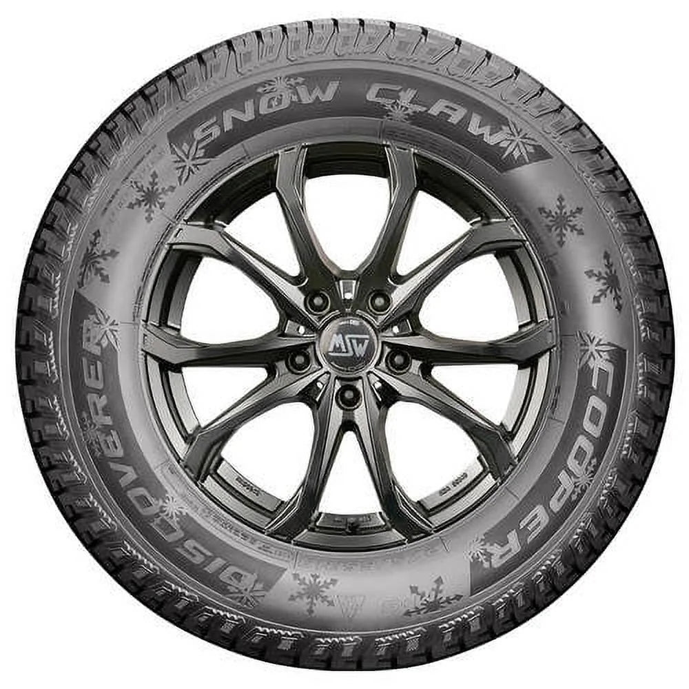 Winter Light Truck Tire V265
