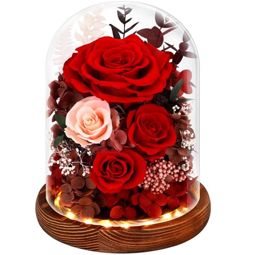 Real Red Roses in Glass Dome with LED Lights Z4579