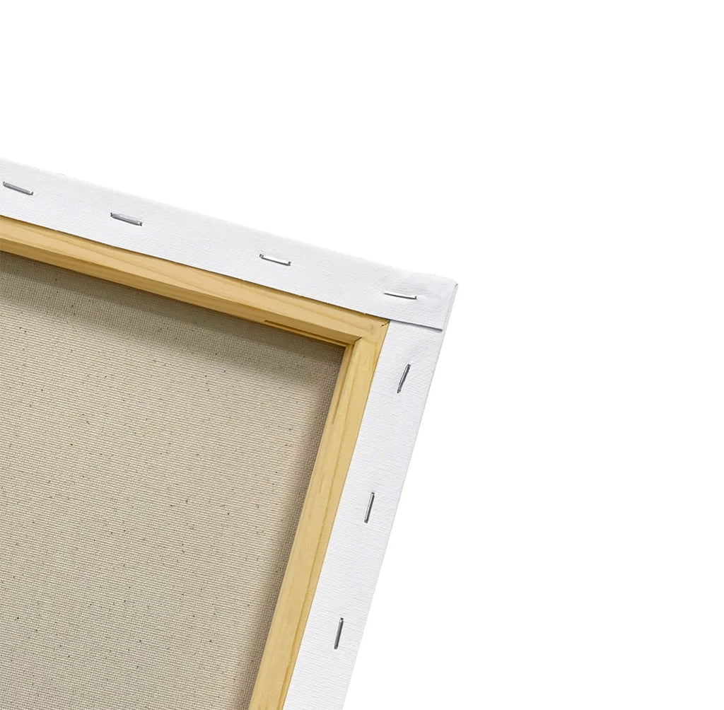 Decorative Canvas Wall Art P3570
