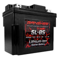 12V Sealed Lithium Ion Battery D96767