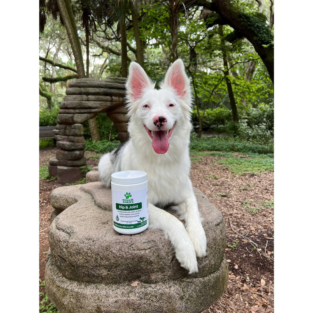 Glucosamine for Dogs Q70888