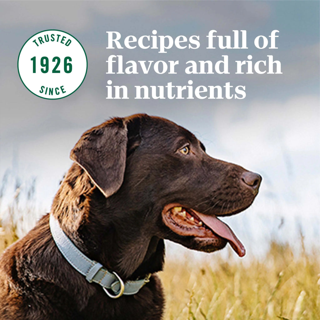 Lamb and Brown Rice Recipe Dry Dog Food, 30 lb Bag B930804