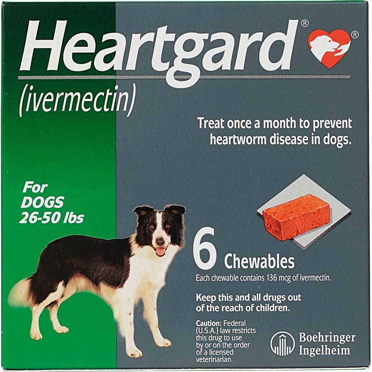 Pet Supplies A21013