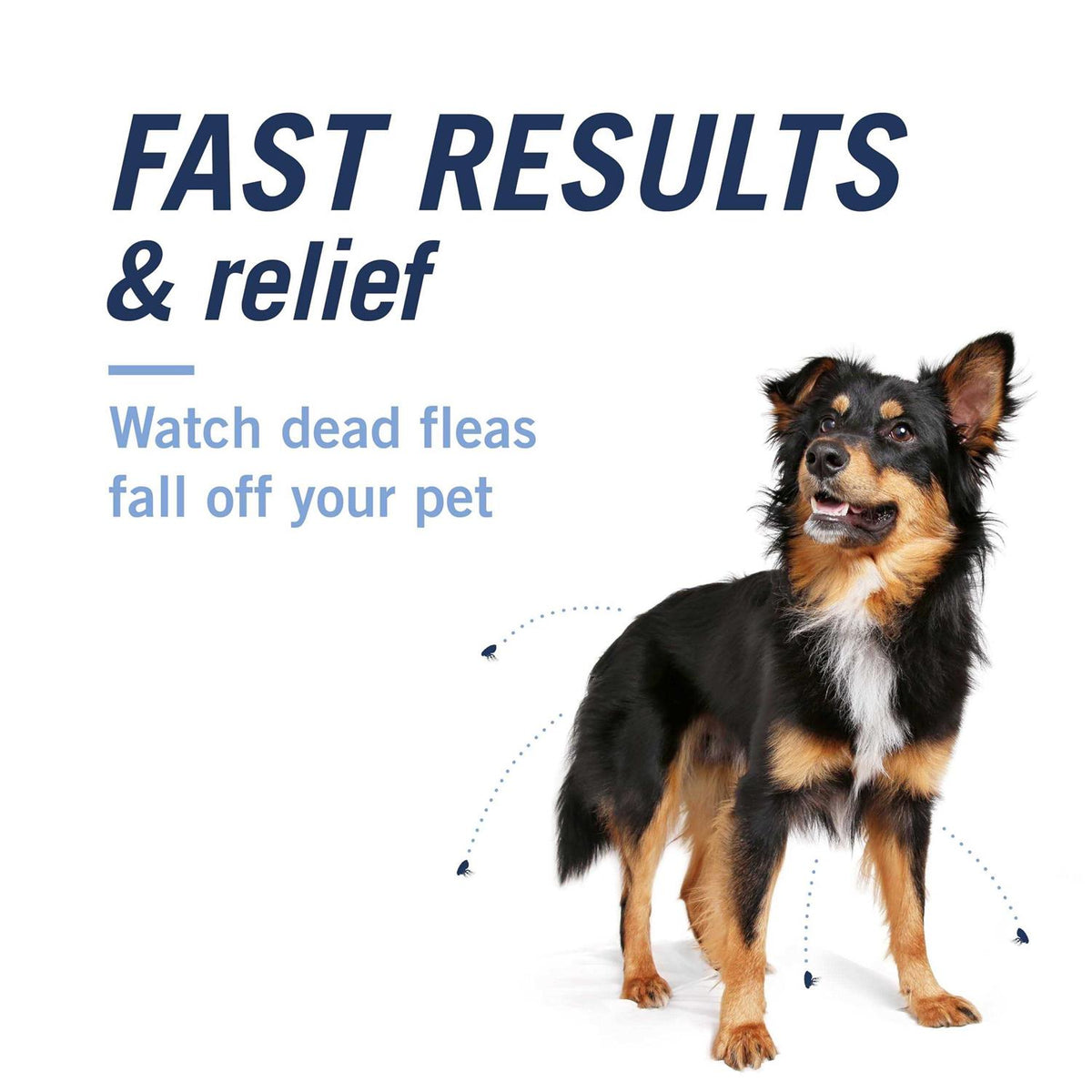 Flea & Tick Capsules H674457