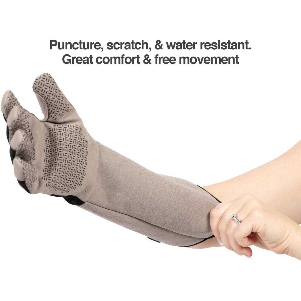 Multipurpose Pet Glove for Grooming K2207