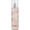 GREEN TEA CHERRY BLOSSOM X571