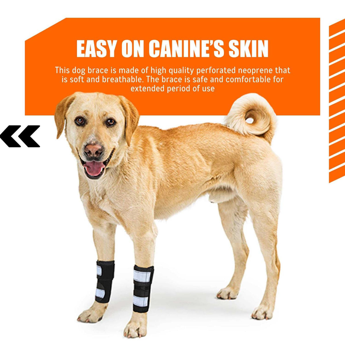 3-in-1 Dog Front Leg Support Brace M703376