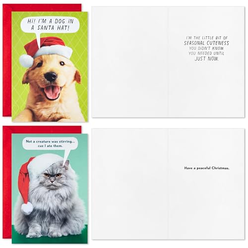 Boxed Christmas Cards with Envelopes B599886