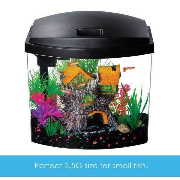 Aquatic Starter Kit X83995