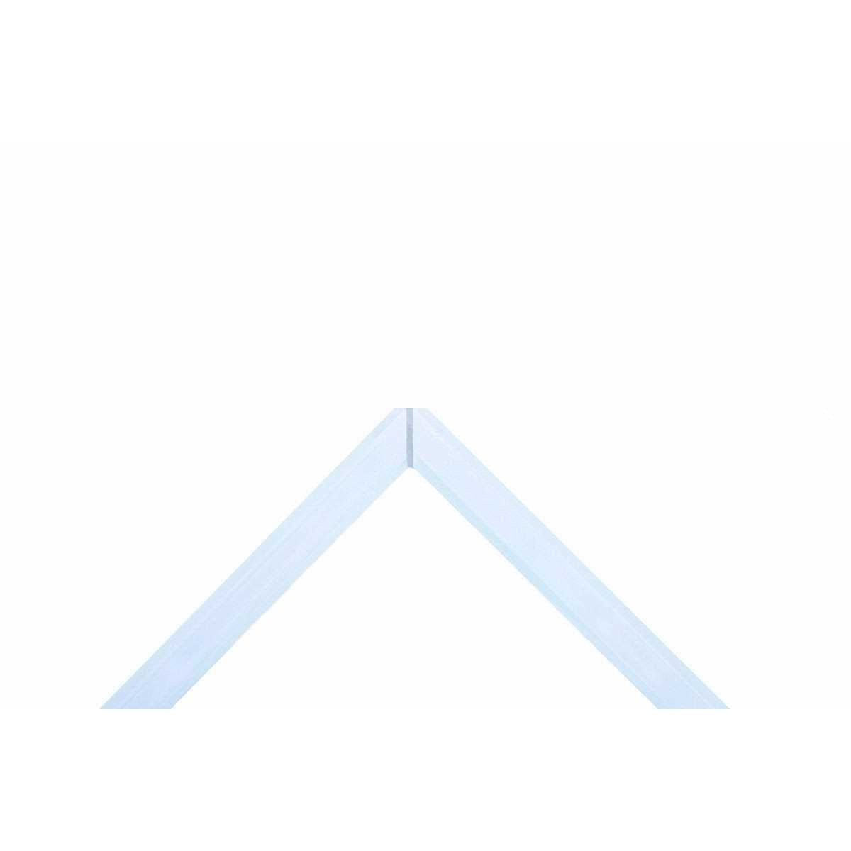 Rimless Aquarium 9 gallons G618453
