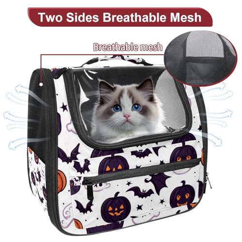 Airline Approved Pet Carrier Bag T524