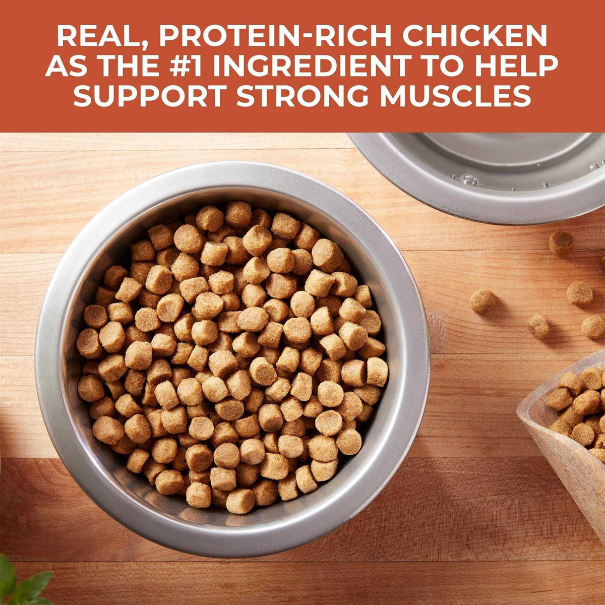 Chicken & Rice Dry Dog Food C393653