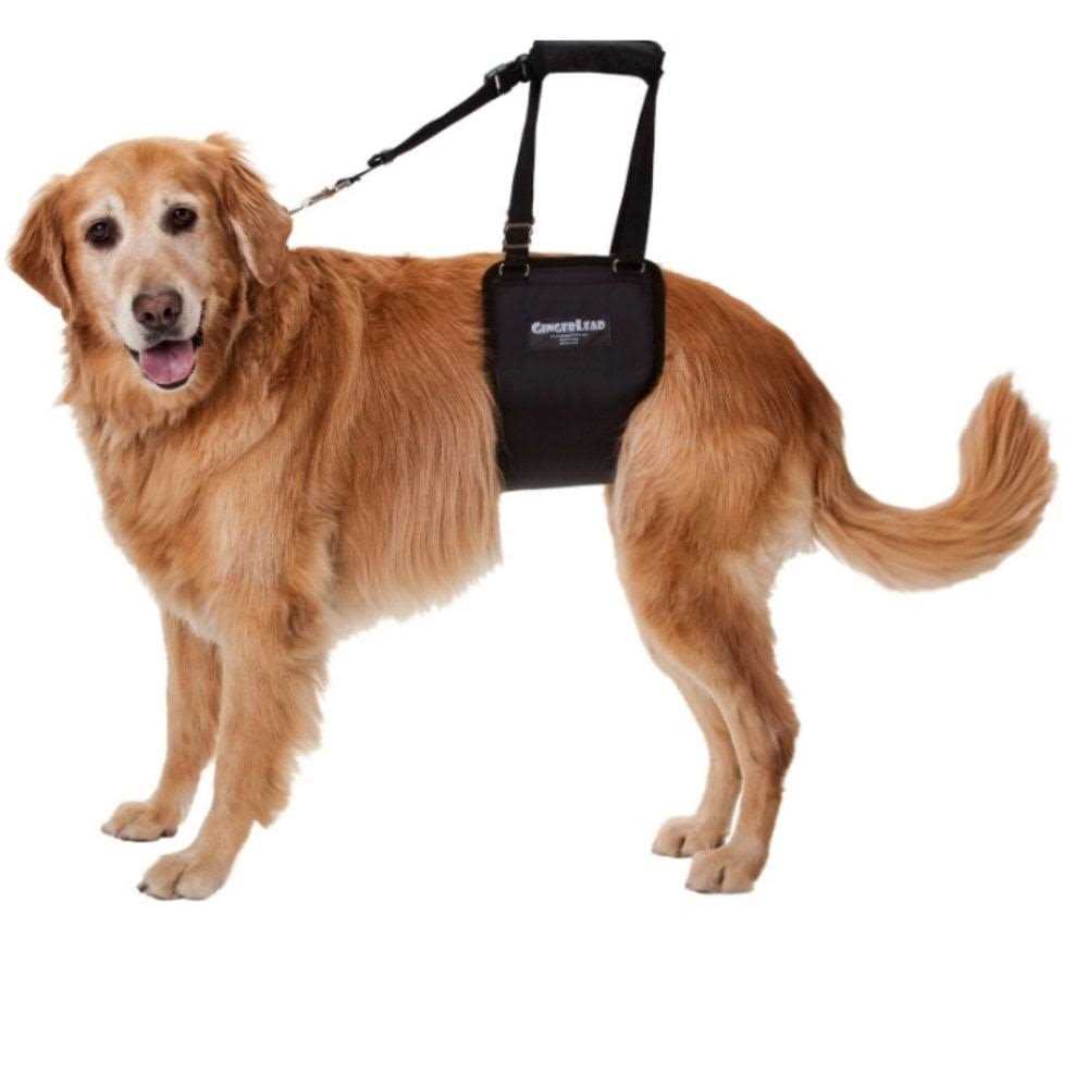 Dog Support Rehabilitation Harness D6151