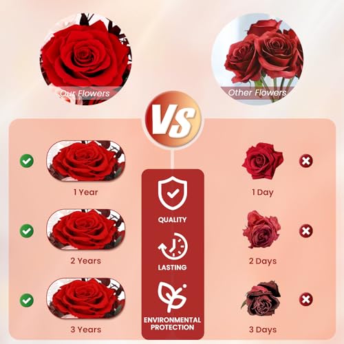 Real Red Roses in Glass Dome with LED Lights Z4579