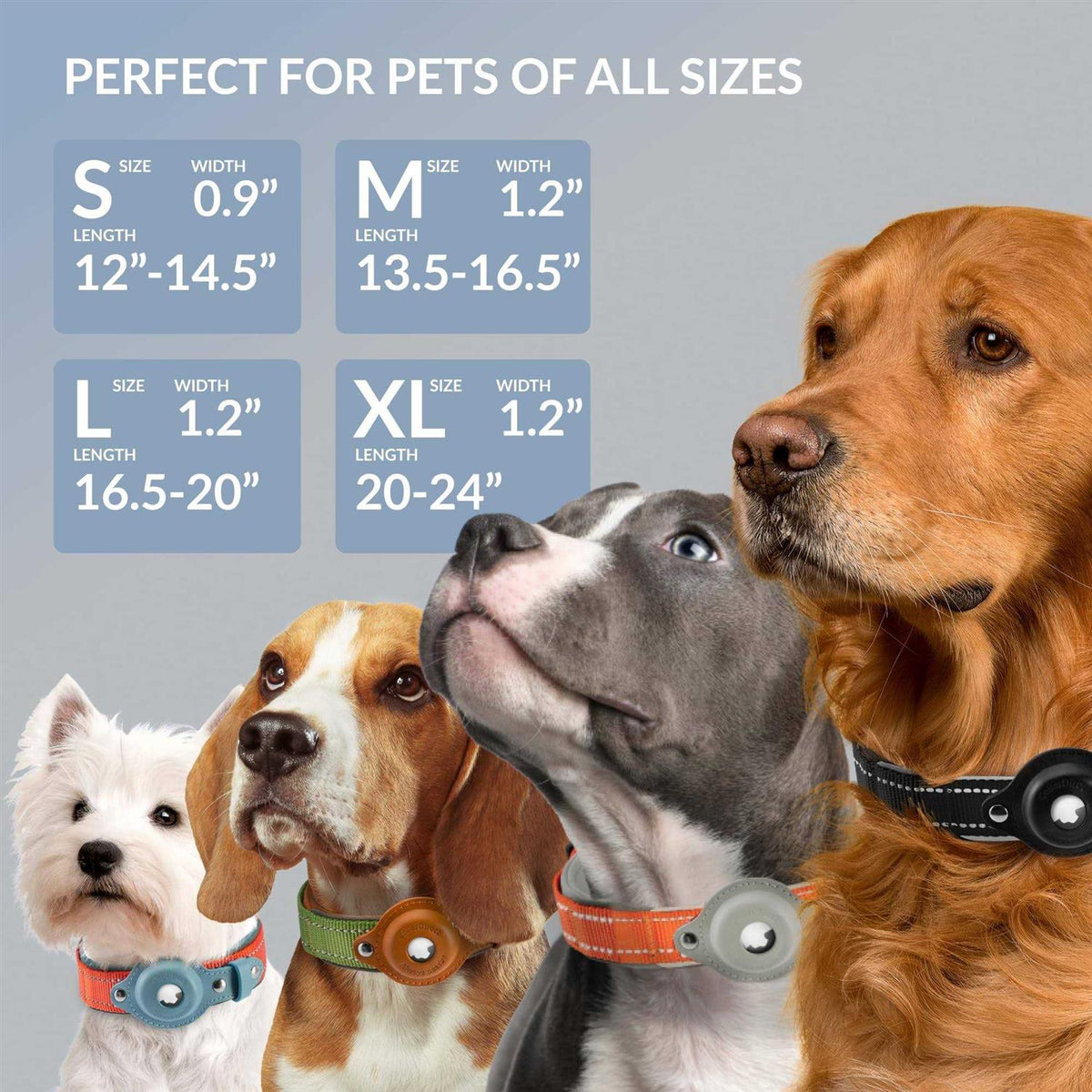 Reflective Dog Collar Z42516