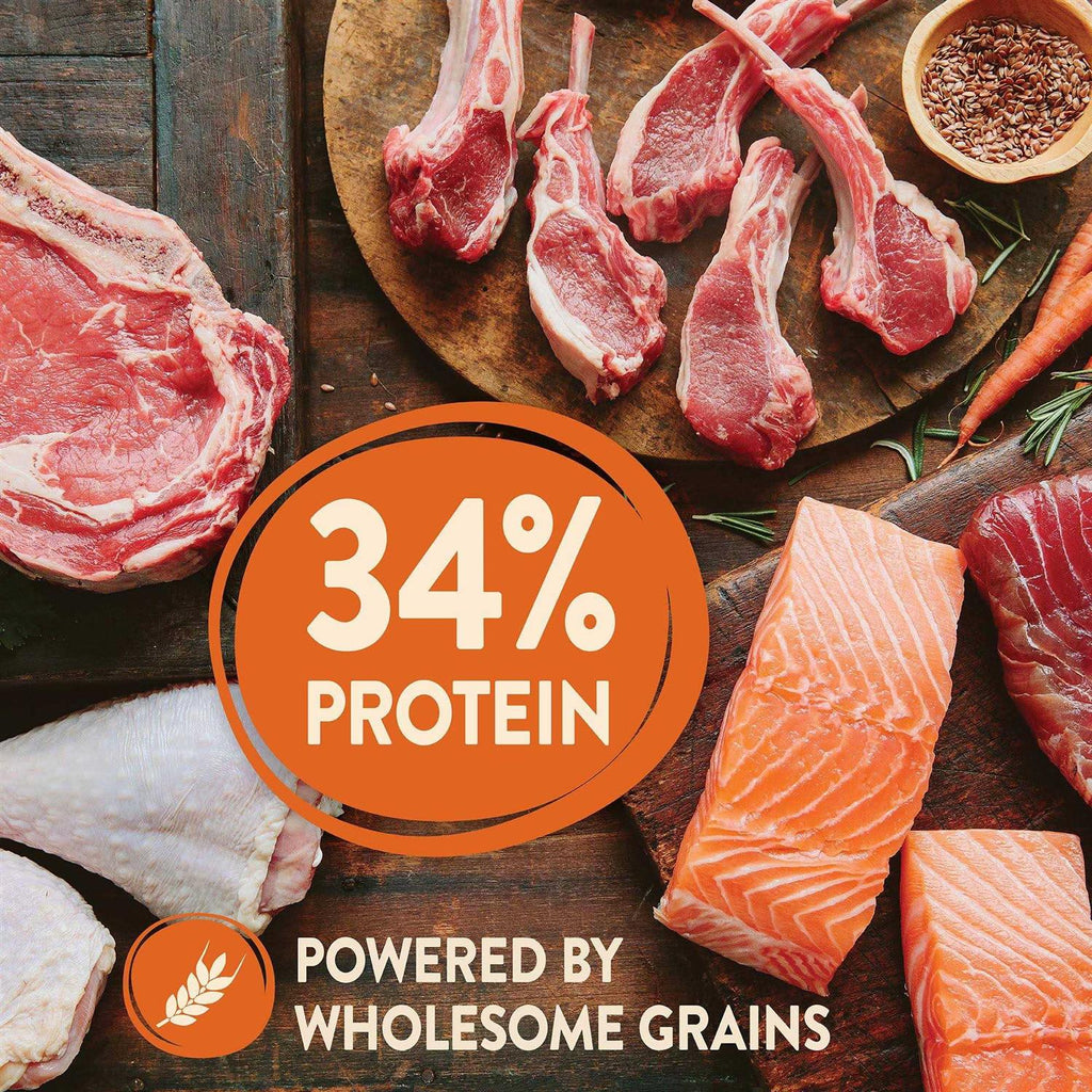 High Protein Wholesome Grains Dry Dog Food P62694