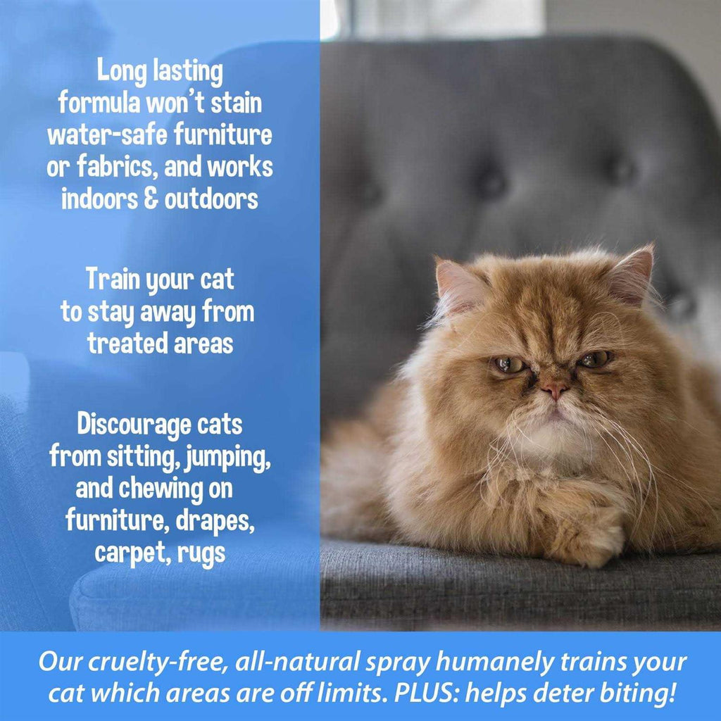 3-in-1 Cat & Kitten Training Aid Cat Deterrent Spray E63708