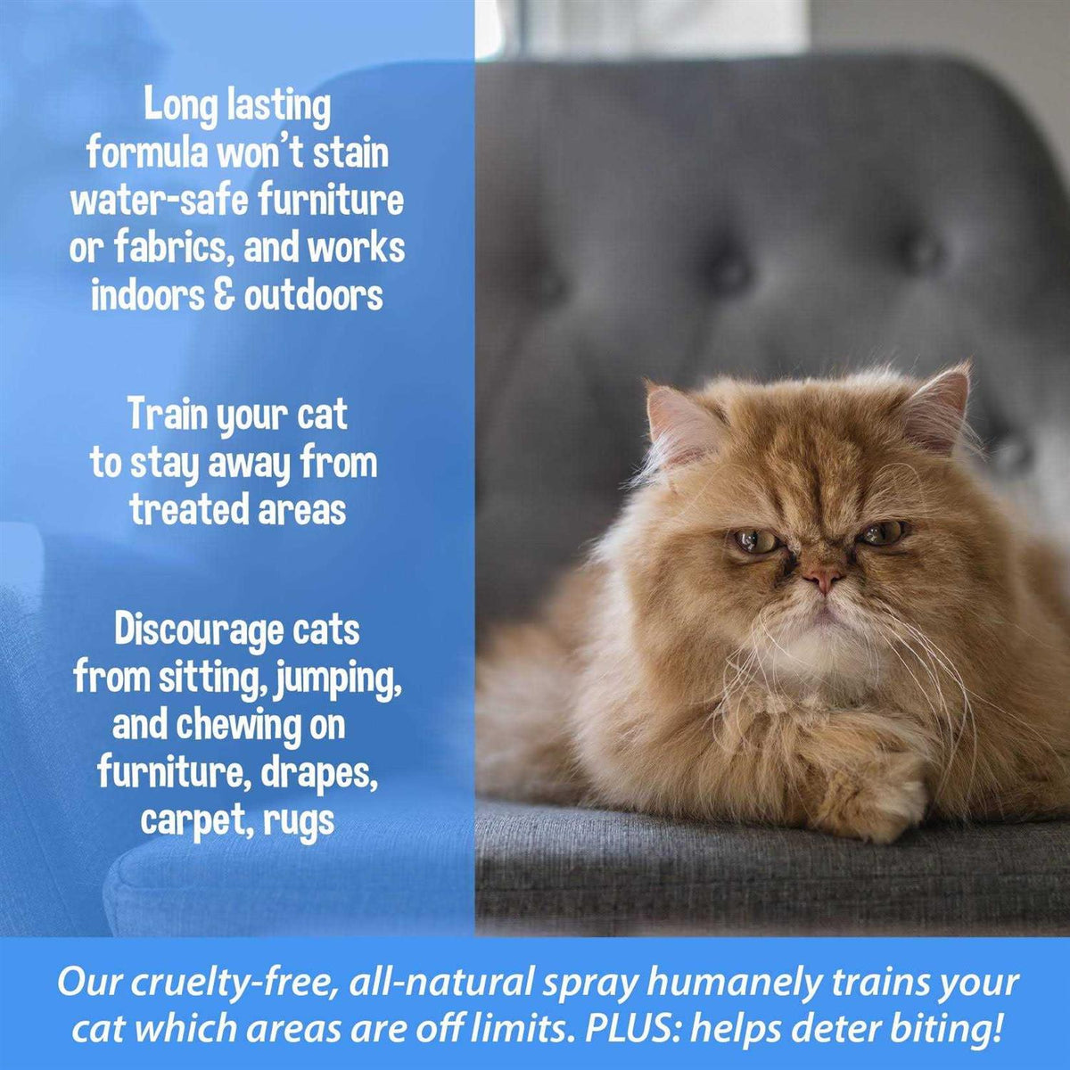 3-in-1 Cat & Kitten Training Aid Cat Deterrent Spray E63708