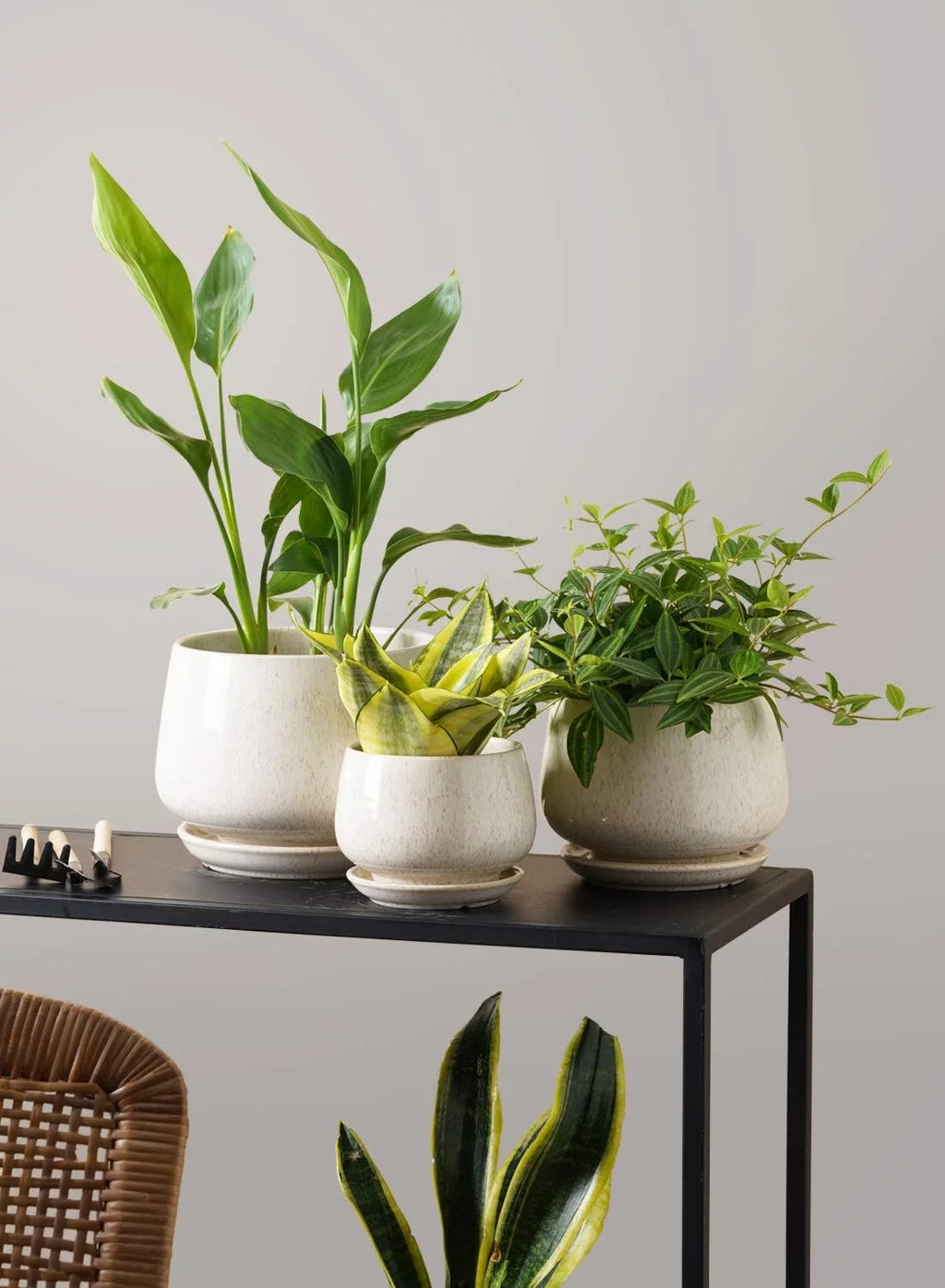 4.1+5.1+6.5 Inch Ceramic Plant Pots with Drainage Hole and Saucer, Set of 3, Beige U178