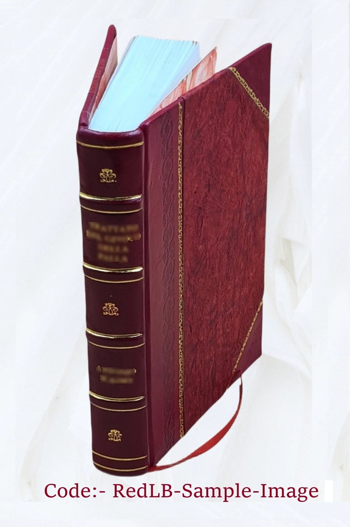 1917 Leather Bound Z165546