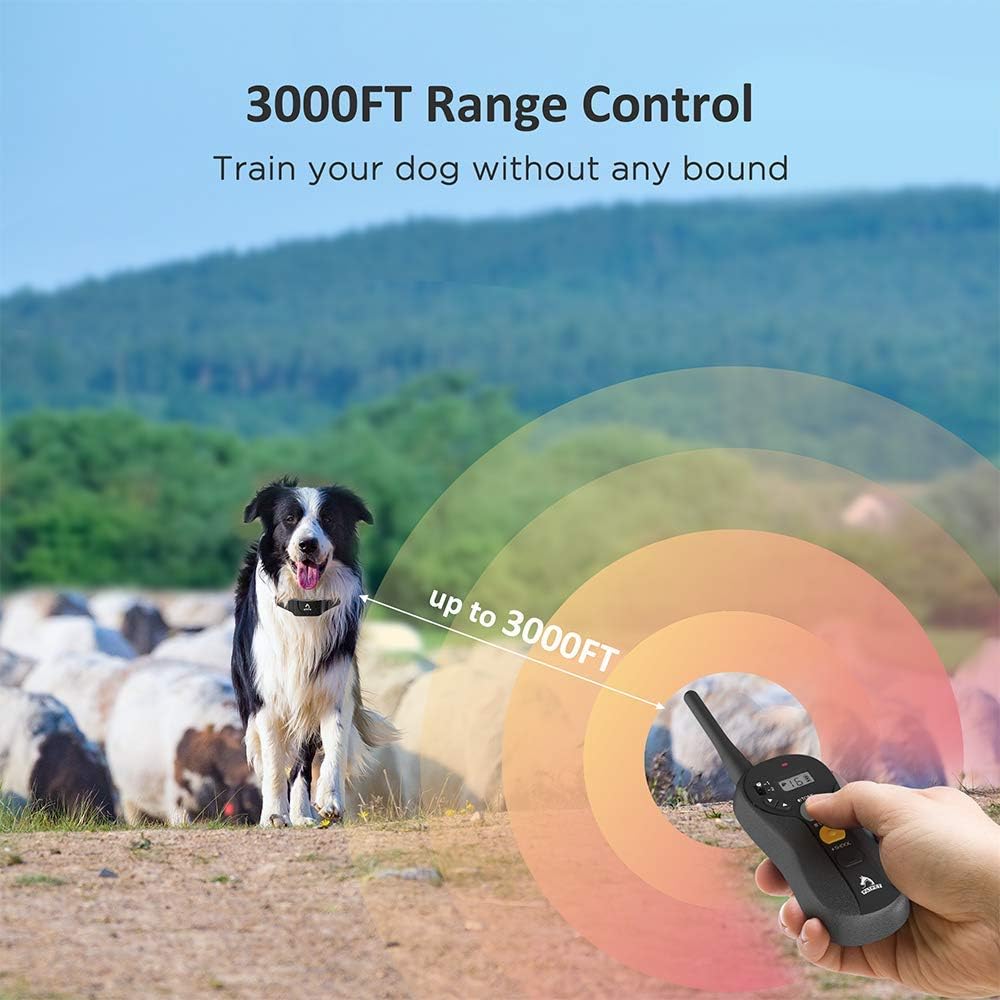 Rechargeable Waterproof Dog Training Collar with Remote for 2 Dogs U9842