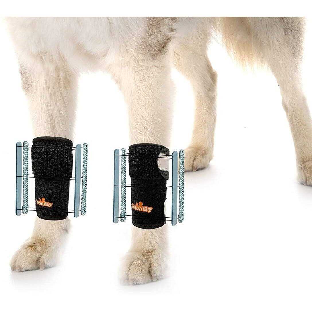 3-in-1 Dog Front Leg Support Brace M703376