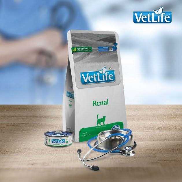 Vet Life Renal I382